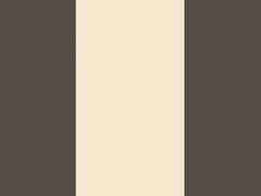 순수 면무늬 직물 175cm 185gsm 부드러운 스웨이트 옷